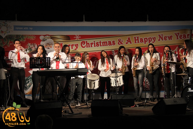 tree xrismass (29).JPG